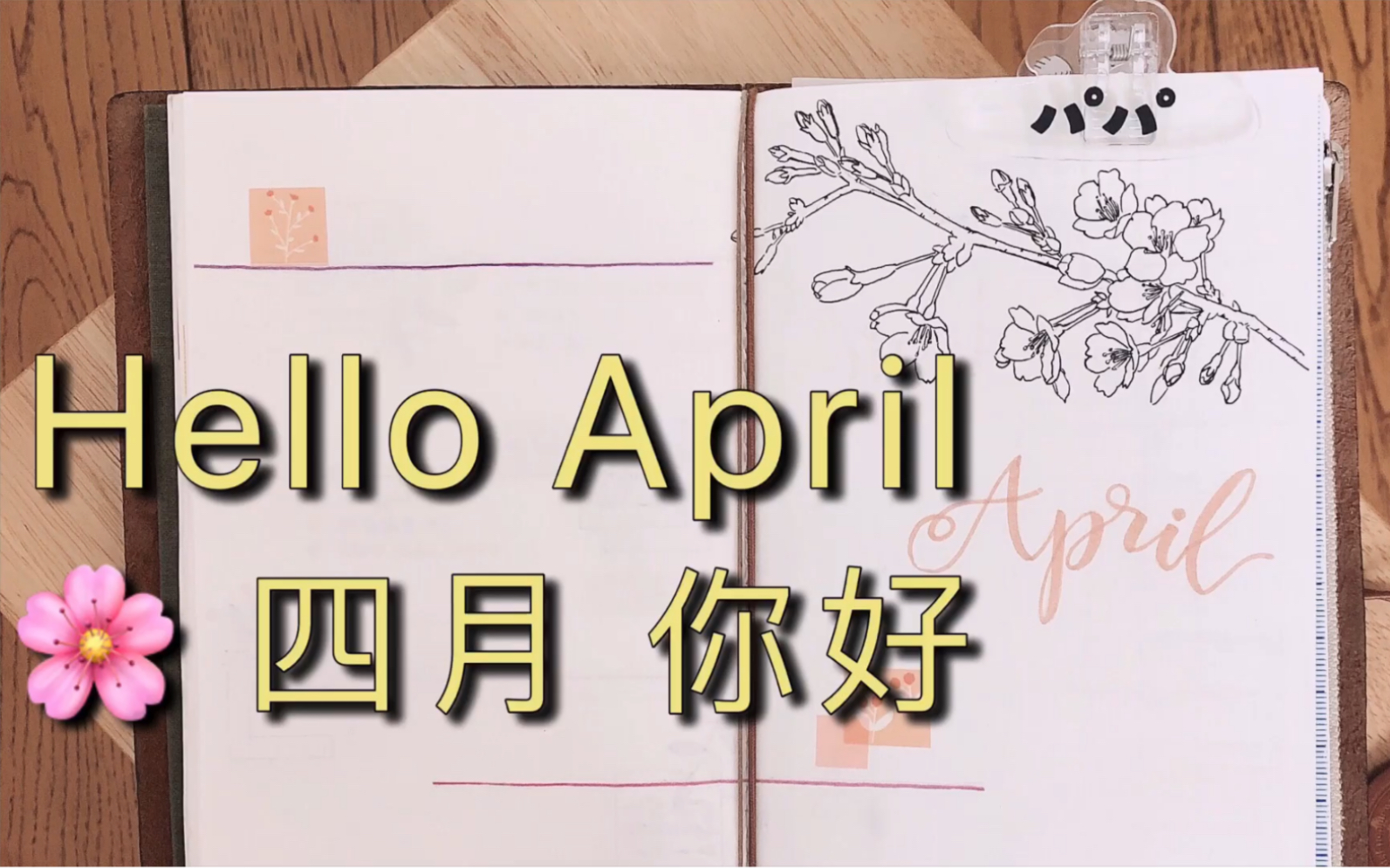 四月 你好|hello april