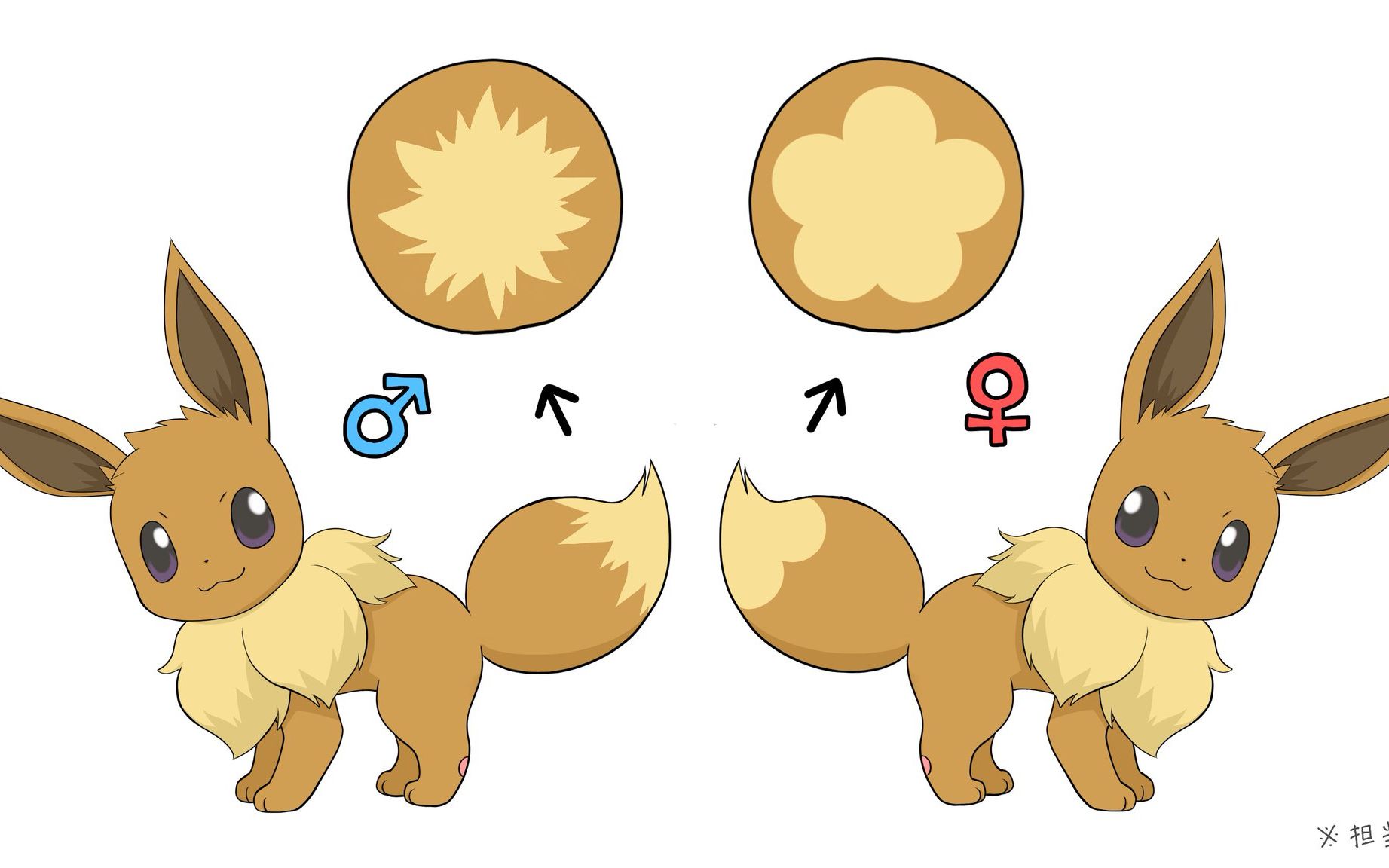 宝可梦朱紫性别显示bug,你看到的母伊布很可能是公的