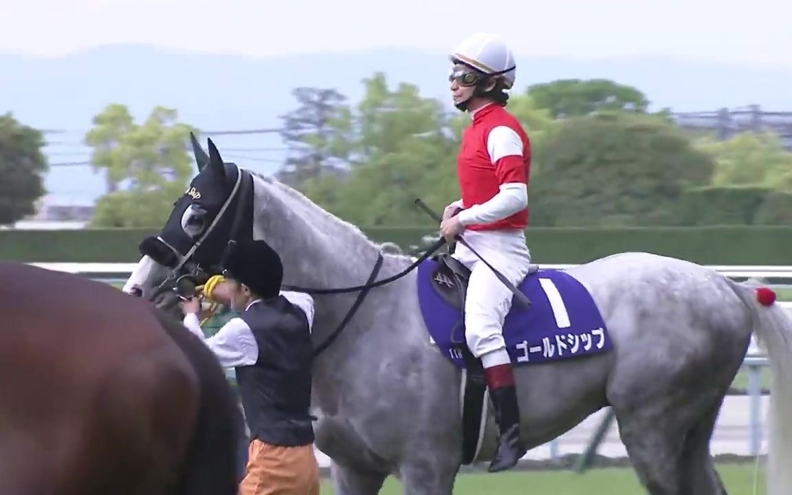 【天皇赏(春)2015】気まぐれゴルシの真骨顶「横山典弘 お愿いしまし