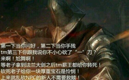 [图]cos成灰心姐去高墙教萌新不要乱砍NPC