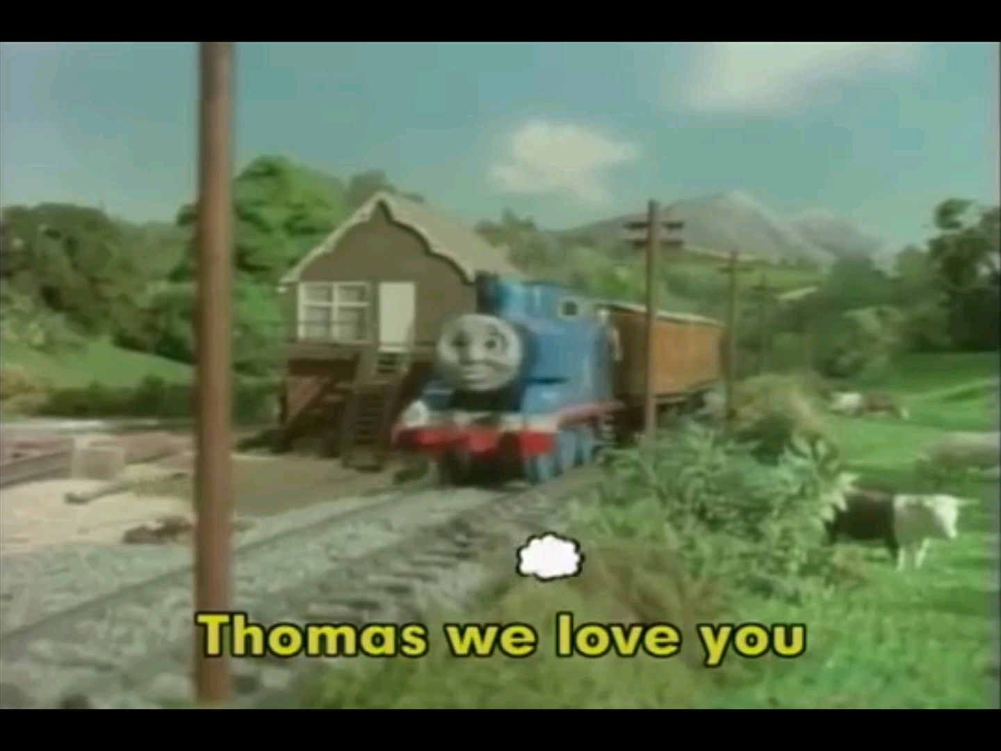 [图]Thomas we love you(另一个版本的)