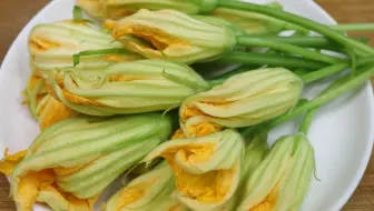 今天才知道 南瓜花也可以吃 教你最好吃的做法 比吃肉还要香 哔哩哔哩 Bilibili