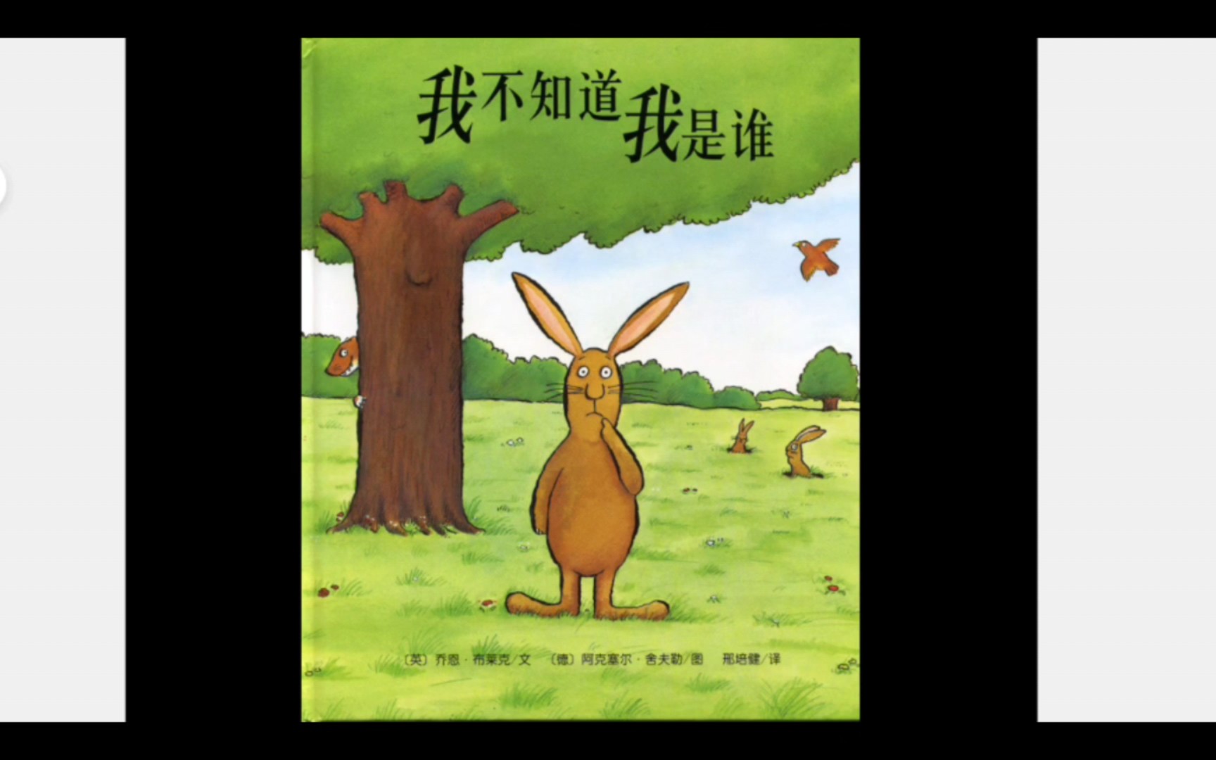 绘本故事之《我不知道我是谁》,他是一只不平凡的小兔子