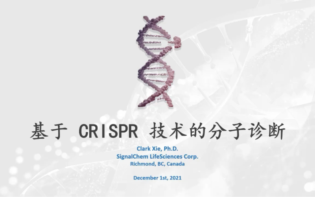 基于CRISPR技术的分子诊断哔哩哔哩bilibili