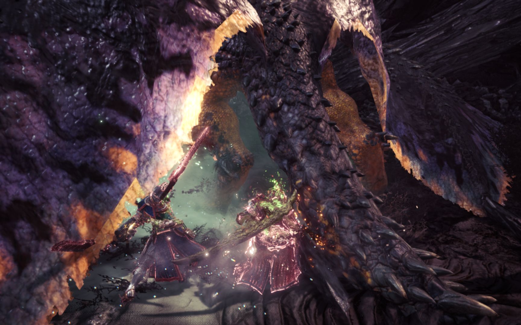 维萨斯 通招出百头龙