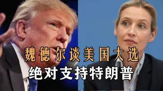 Video herunterladen: 魏德尔谈美国大选，绝对支持特朗普