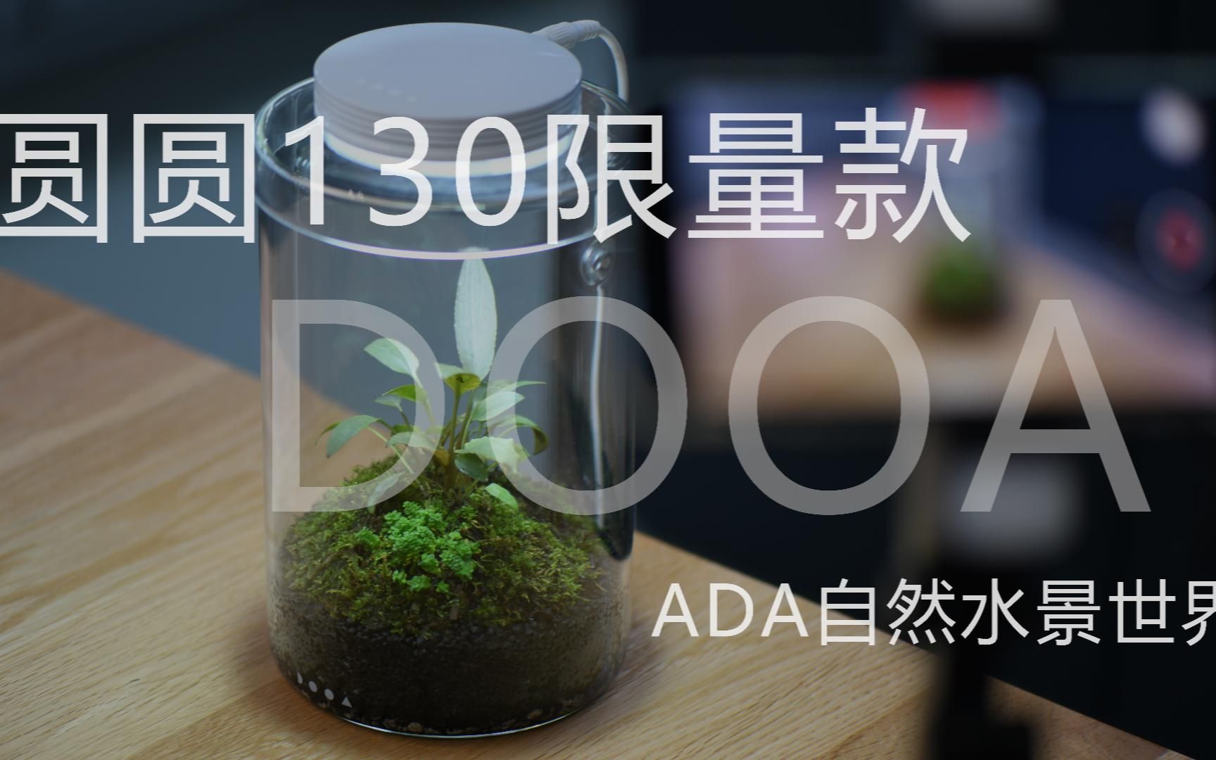 DOOA圆圆130限量款 ADA自然水景世界哔哩哔哩bilibili