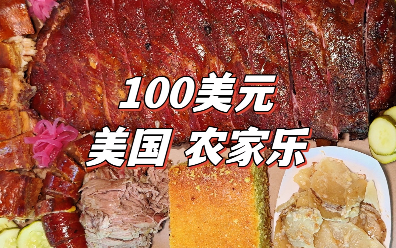 100美元在美国农家乐吃烧烤能吃多少肉?这顿值么?哔哩哔哩bilibili