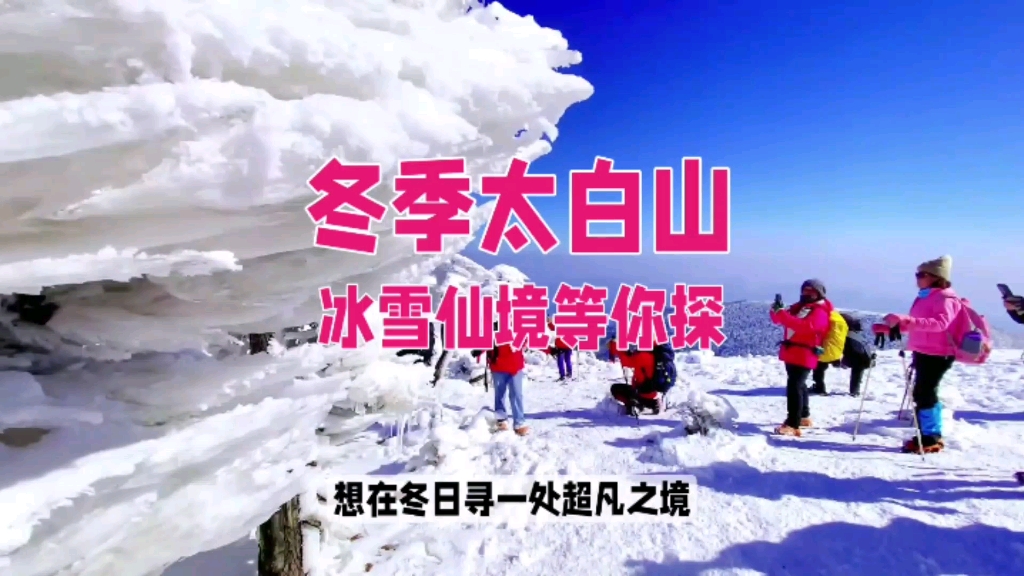 冬季太白山冰雪仙境等你探哔哩哔哩bilibili