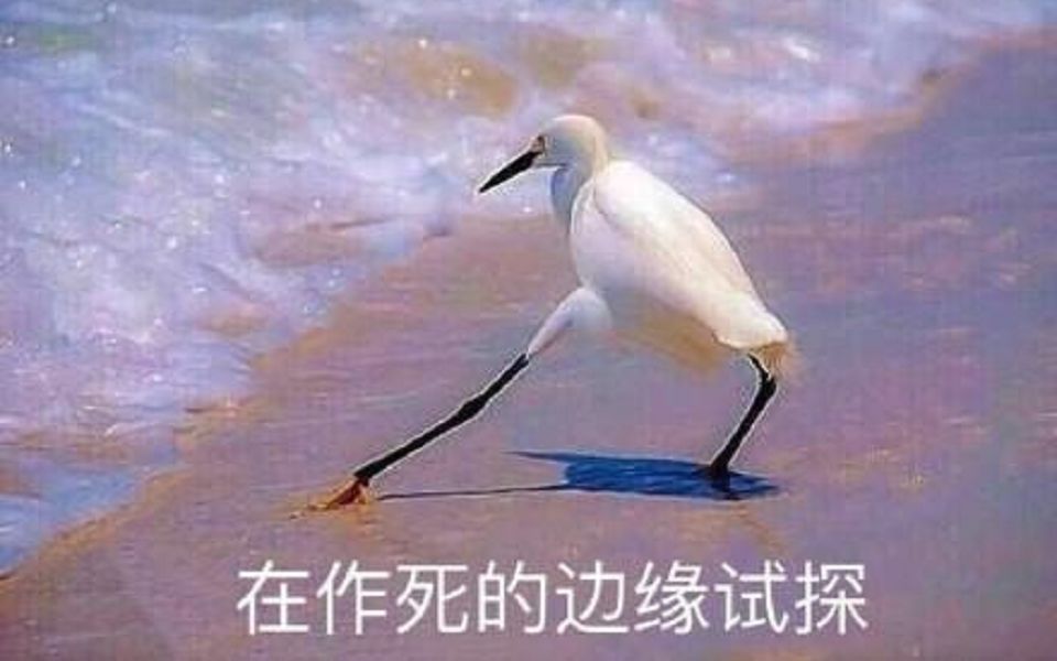B站