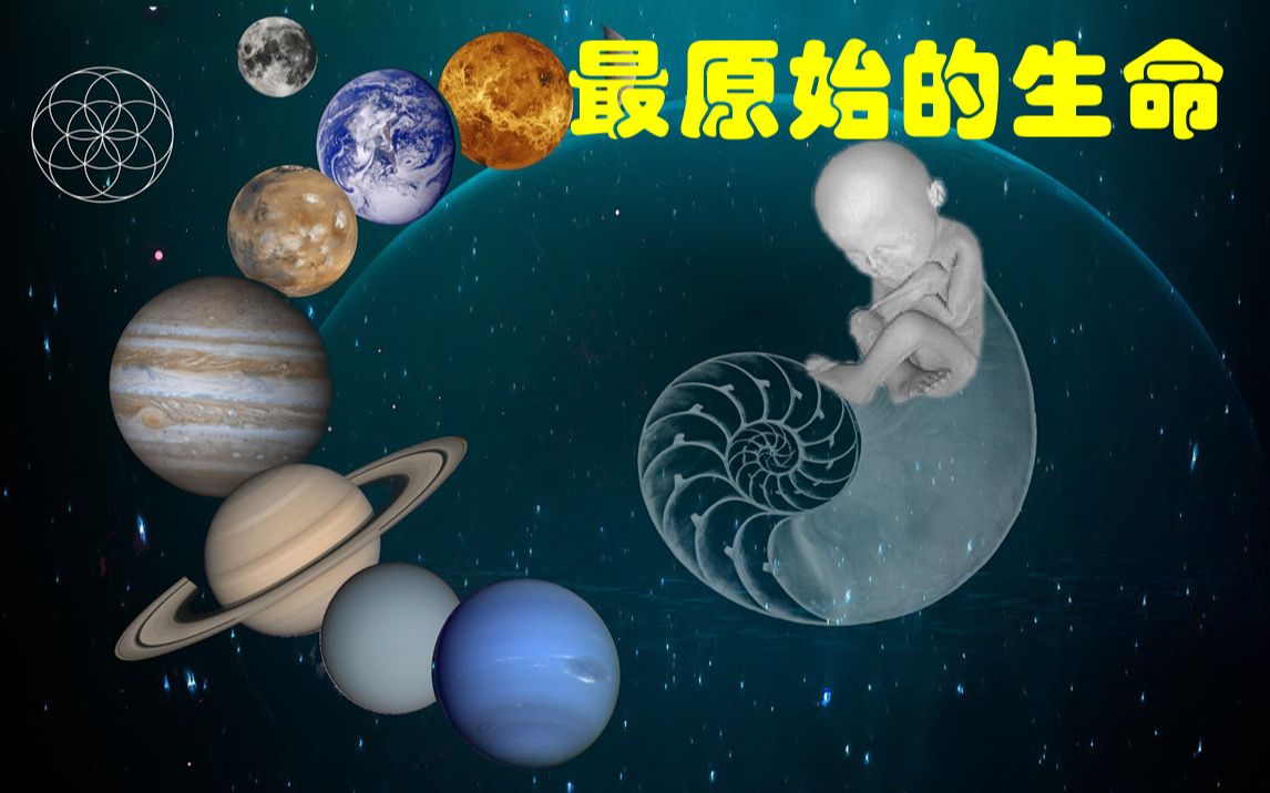 太古宙:最原始的生命诞生|陆核出现,真正地壳形成|地球简史系列3|海民大叔哔哩哔哩bilibili