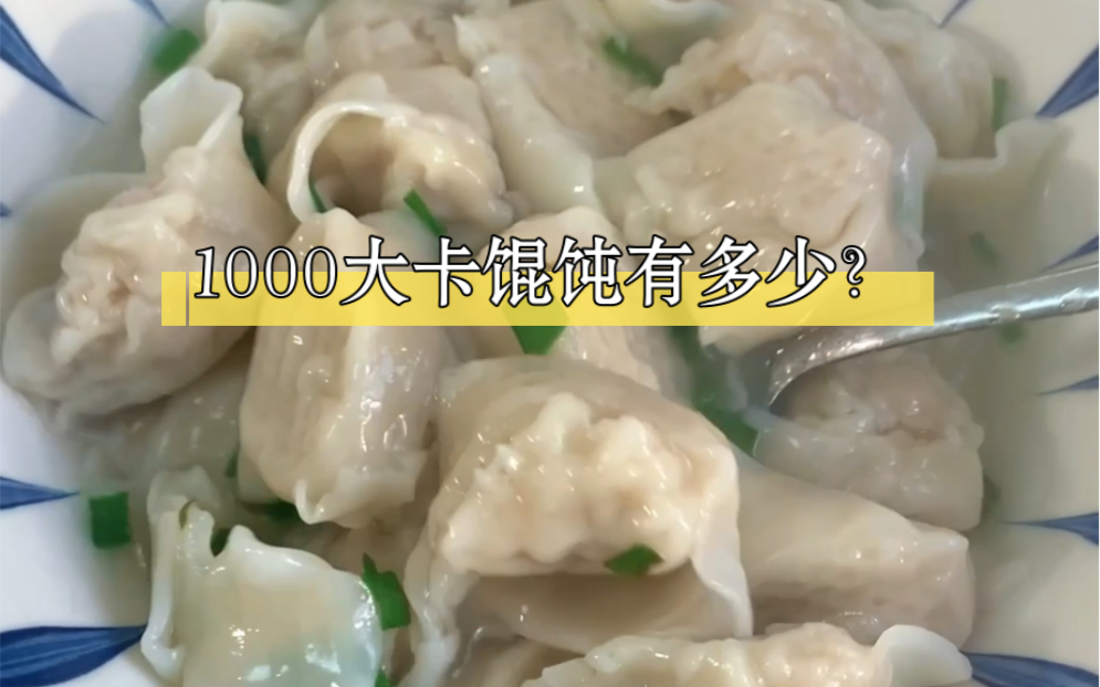 放纵餐11/1000大卡馄饨有多少?好像吃不饱?哔哩哔哩bilibili