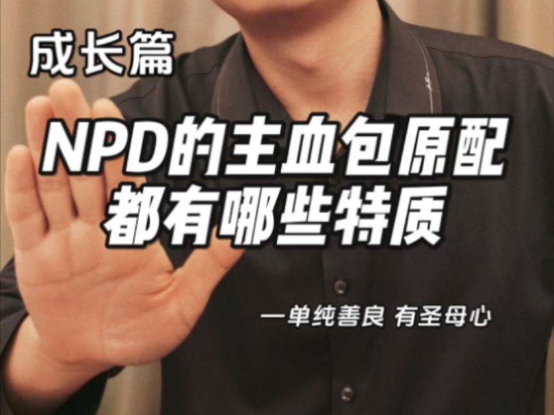 [NPD专题]NPD的主血包都有哪些特征?哔哩哔哩bilibili