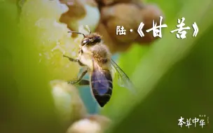 下载视频: 《本草中华 第二季》第六集《甘苦》