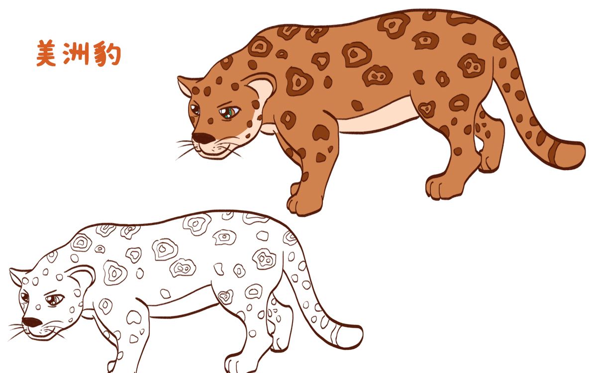 简笔画大全,美洲豹(三)_哔哩哔哩 (゜-゜)つロ 干杯~-bilibili