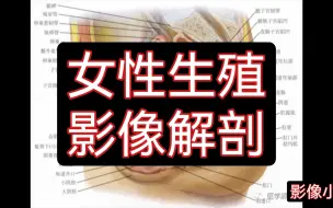 Download Video: 【医学影像】女性生殖 | 跟我一起刷病例