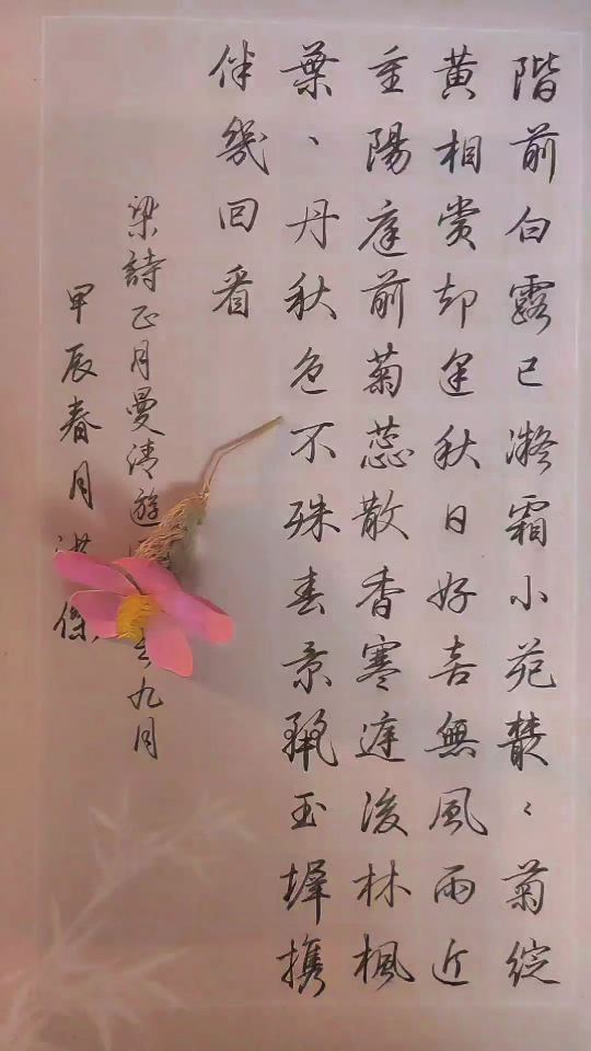 九月“重阳赏菊”阶前白露已凝霜,小苑丛丛菊绽黄.相赏却逢秋日好,喜无风雨近重阳.庭前菊蕊散香寒,庭后林枫叶叶丹.秋危不殊春景丽,玉墀携伴几回看...