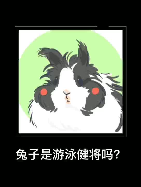 兔子是游泳健将?呵呵哔哩哔哩bilibili