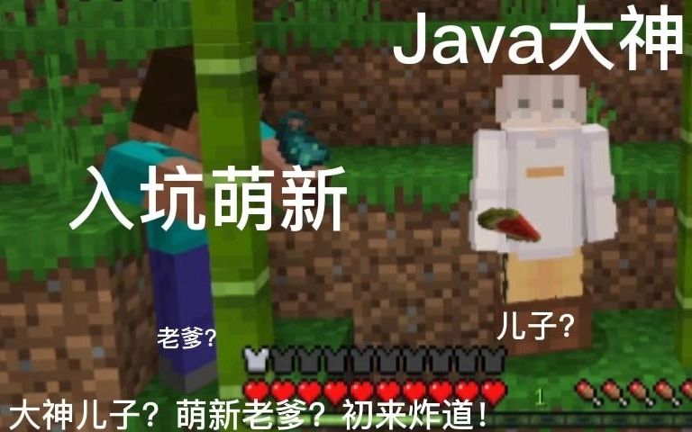 [图][懒散の人＆极二先生的Minecraft实况]Java大神误入基岩版？入坑萌新初来炸道！P1