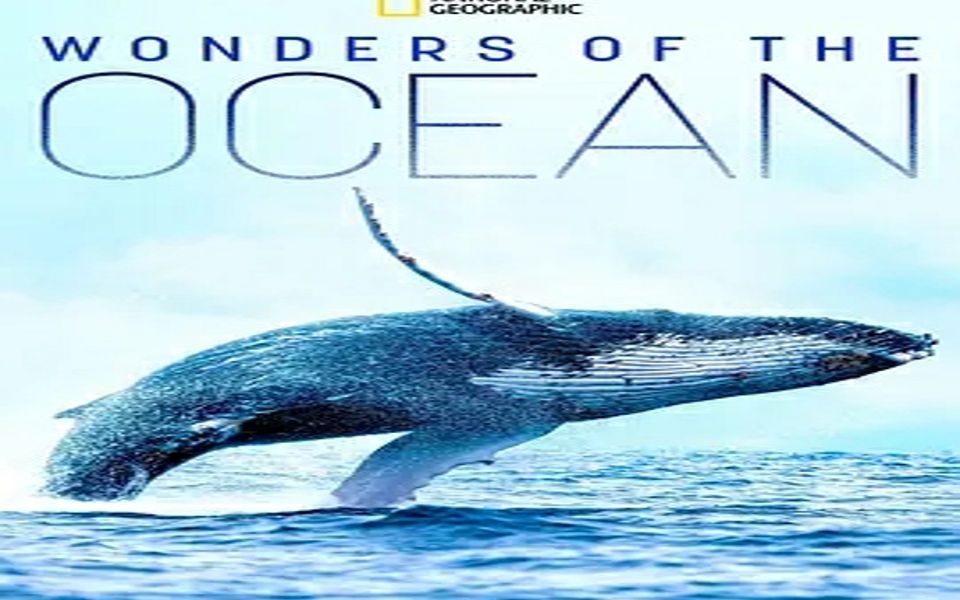 [图]海洋奇缘 Wonders of the Ocean 2020第一集islands-of-life 截取视频 片段