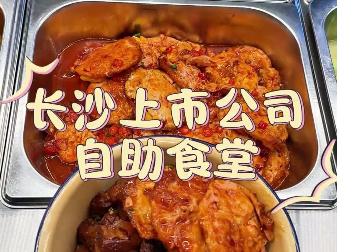 长沙公司食堂打饭丨卤肉饭哔哩哔哩bilibili