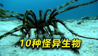 Download Video: 人迹罕至的海底，一个长满触手的生物在爬行，10种怪异海洋生物