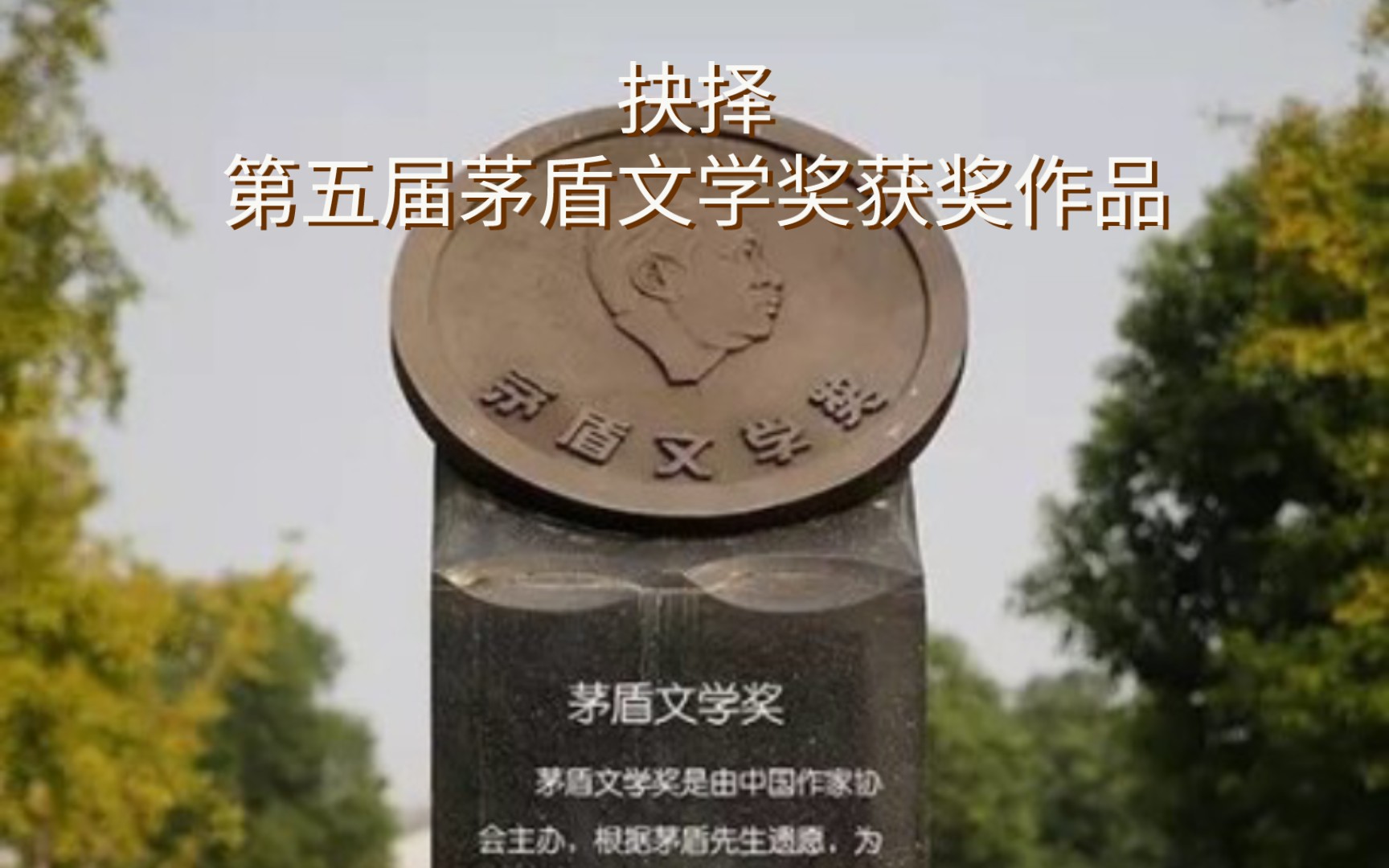 抉择第五届茅盾文学奖获奖作品