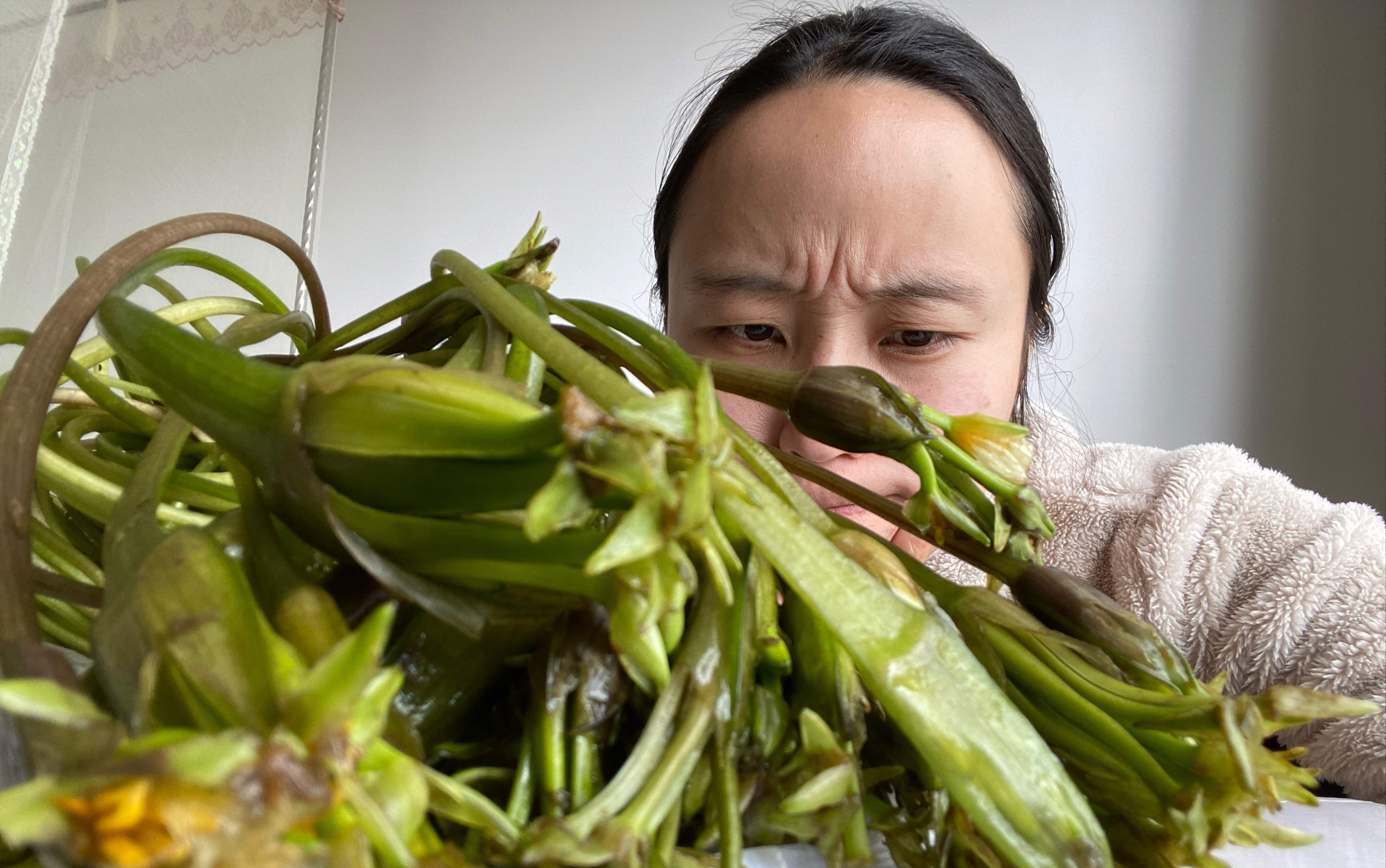 外地人探云南菜场猎奇记1之海菜(水性杨花)哔哩哔哩bilibili