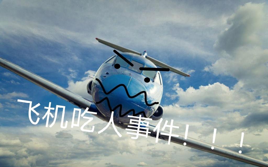 飞机吃人事件