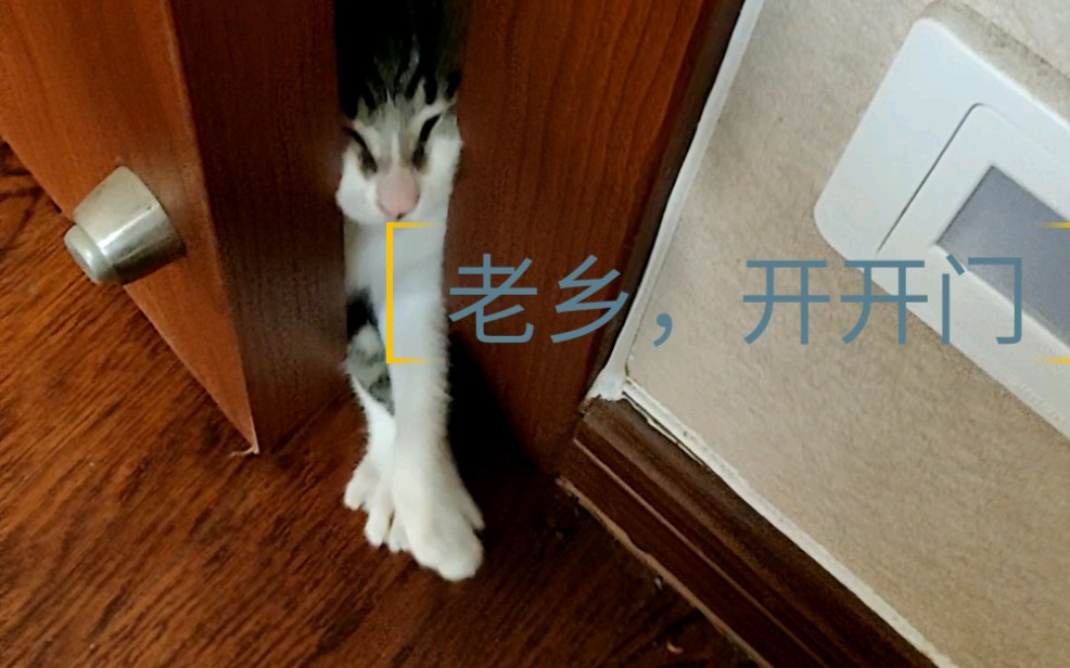 老乡,开开门
