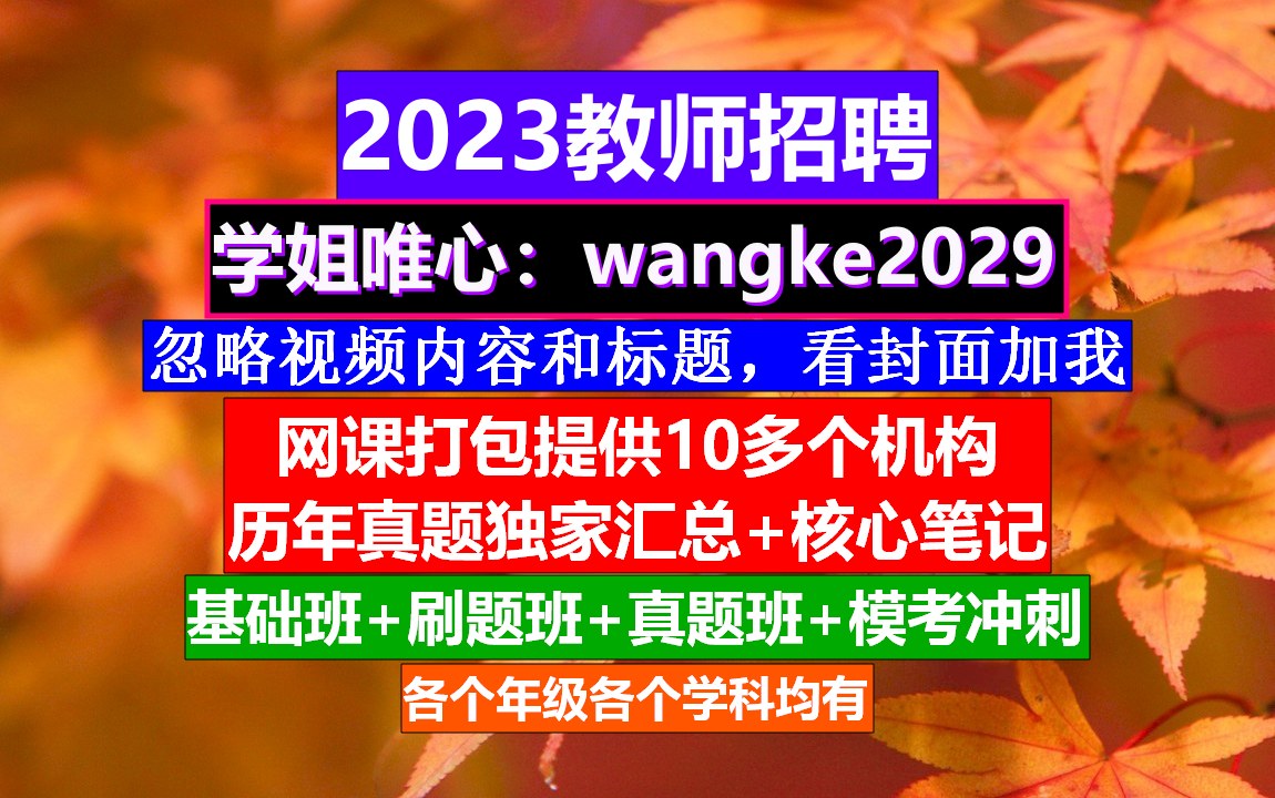 吉林省教师招聘美术学科,教师资格网上报名系统,教师招聘培训哔哩哔哩bilibili