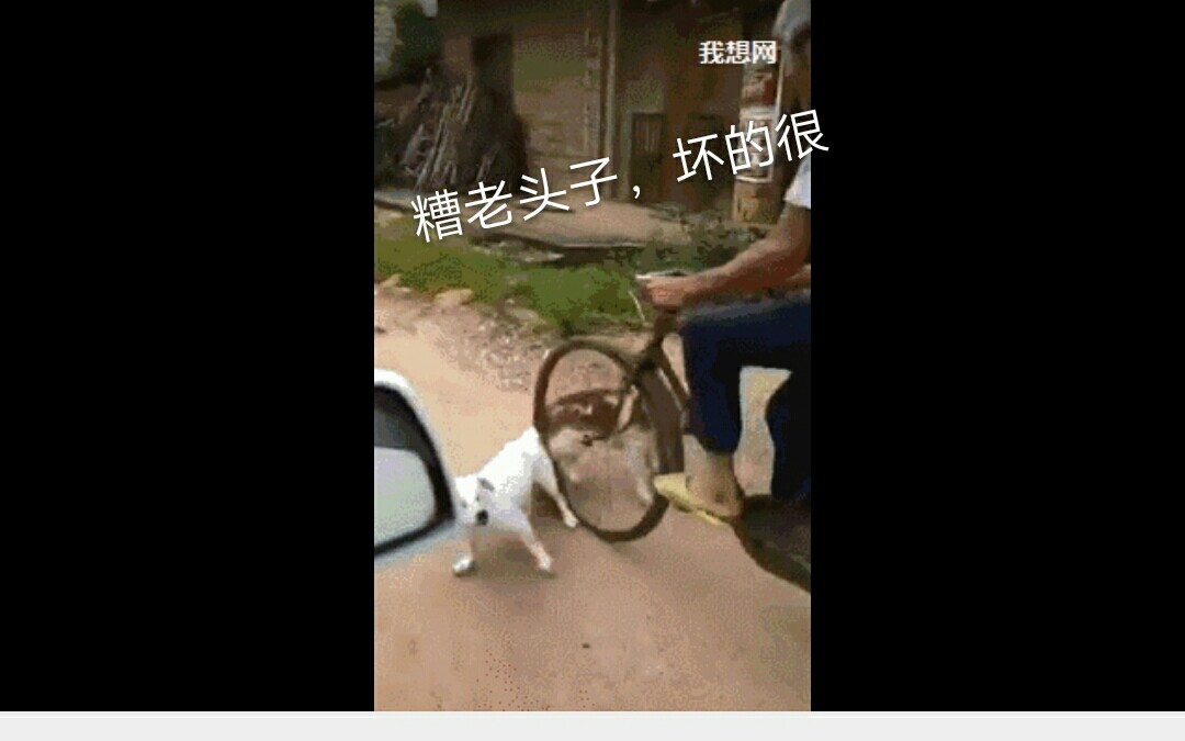 你个糟老头子,坏的很^搞笑gif动图哔哩哔哩bilibili