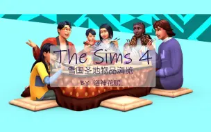 Tải video: 【模拟人生4】雪国圣地物品浏览