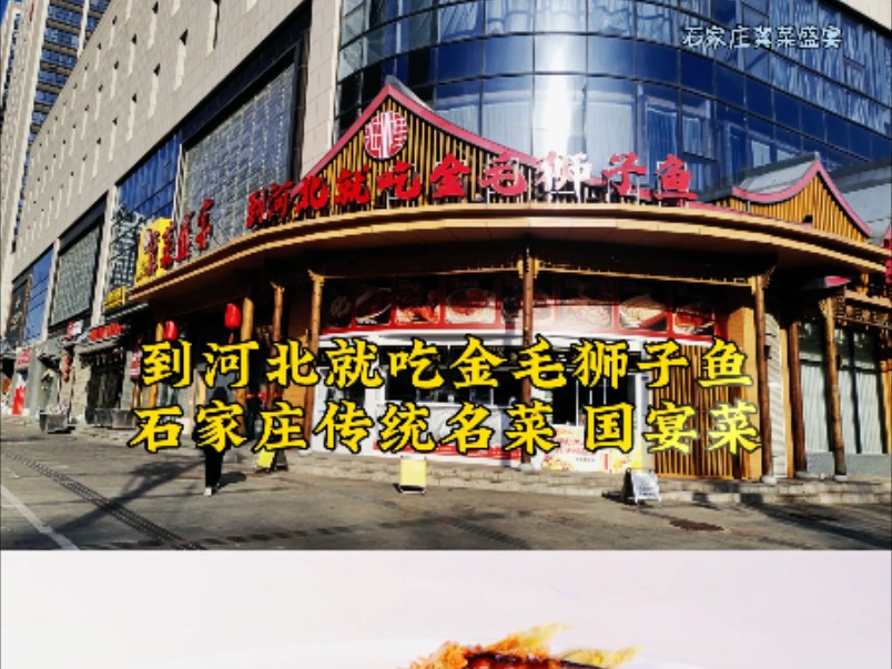 在石家庄市桥西区休门街与四中路交口东北角,发现一家店,大字写着“到河北就吃金毛狮子鱼”店名冀菜盛宴哔哩哔哩bilibili