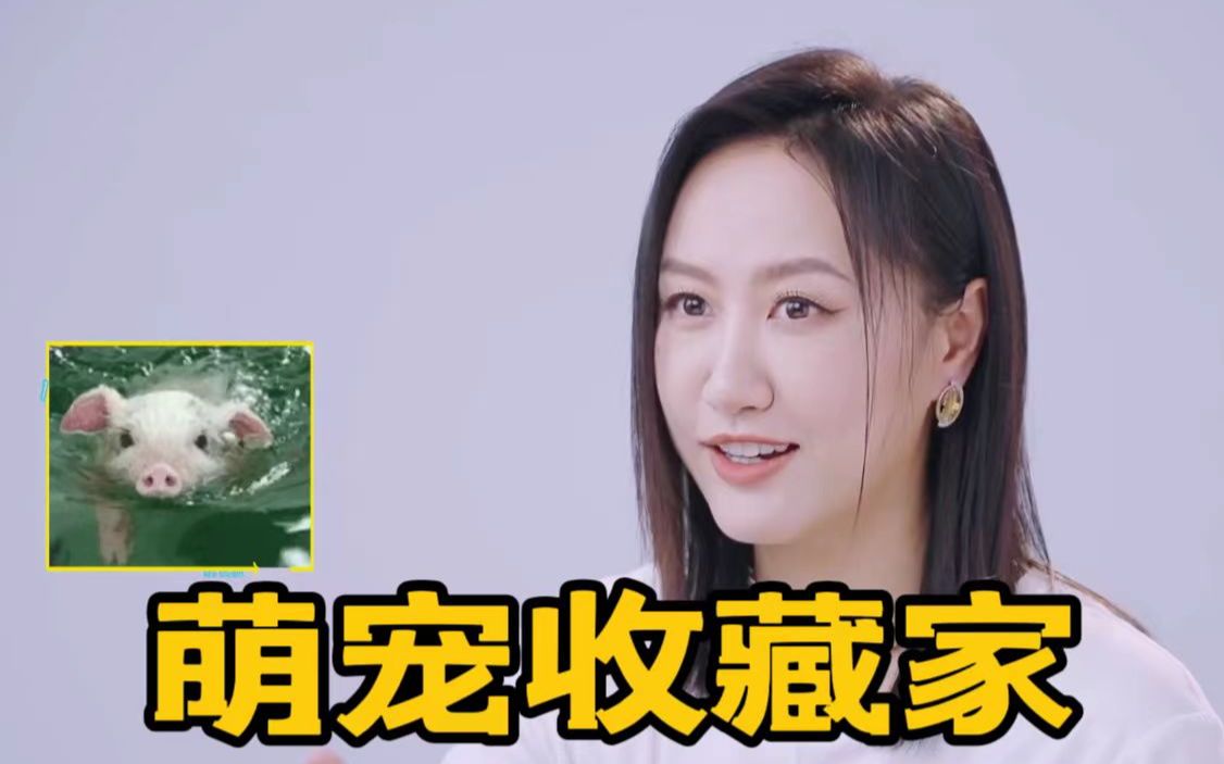 陈粒||采访:萌宠表情包收藏家【爱唱歌的大学生】