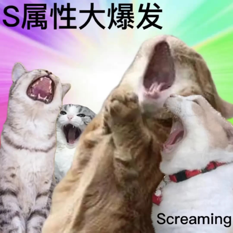 s属性大爆发表情包