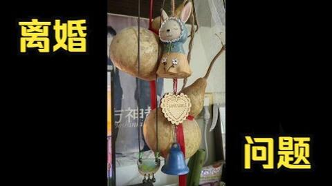 凜凜蝶凜 大蝶名言之离婚的问题 哔哩哔哩