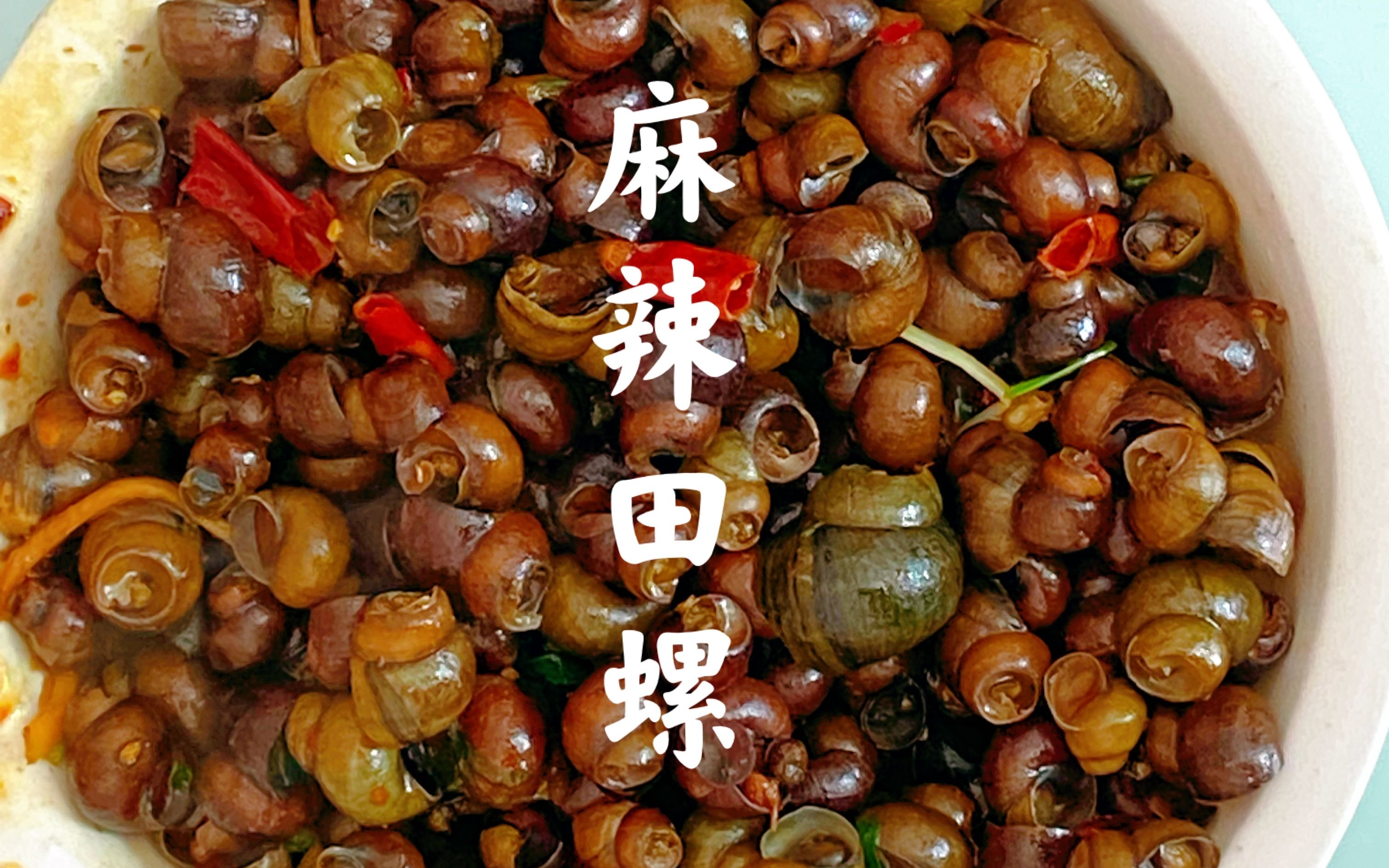 十五下河摸半盆田螺,中午吃麻辣田螺,又麻又辣,真得劲