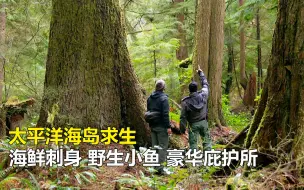 太平洋海岛求生，海鲜刺身，野生小鱼，豪华庇护所！