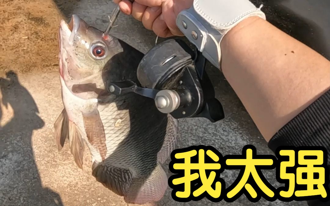 【袁桑弹弓】边上有大罗非潜行打太强大了 你见过这么抓鱼的吗 到底