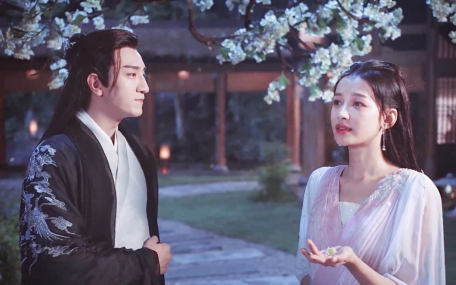 【今夕何夕】冬月| 冯夕   风前月下‖ 冬青花开  冬月冯夕有点甜!