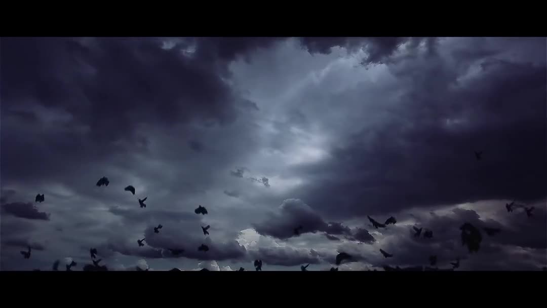 [图]【2014】Insomnium - While We Sleep MV 中英字幕【CatimusProject】