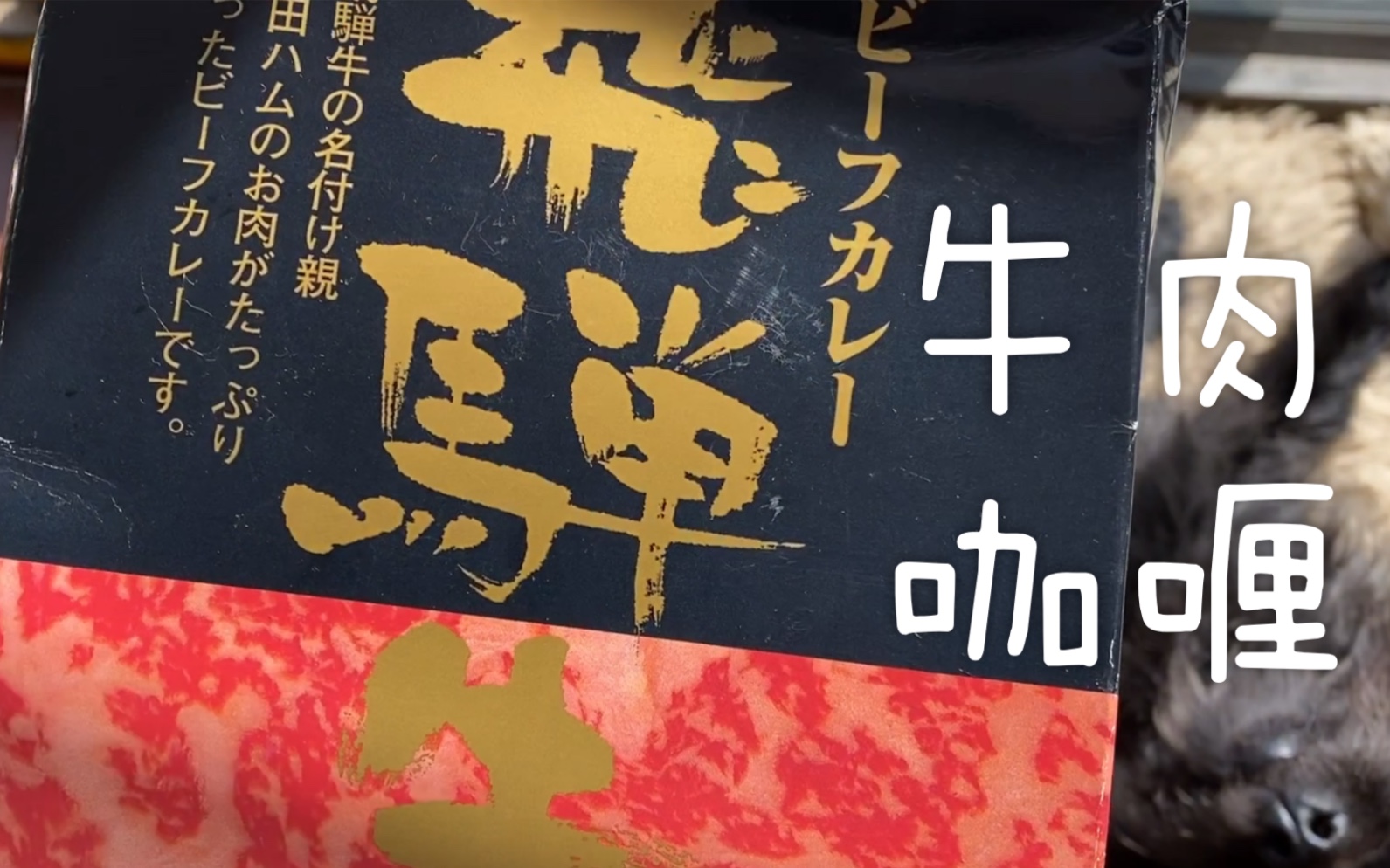 尝试日本飞弹牛肉咖喱_哔哩哔哩 (゜-゜)つロ 干杯~-bilibili