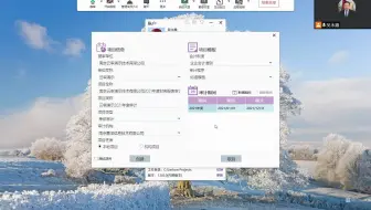 云审资金流水核查功能演示