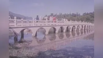 李谷一演唱 当时很火的电影插曲 | 听起来有点像《步步高》的曲调
