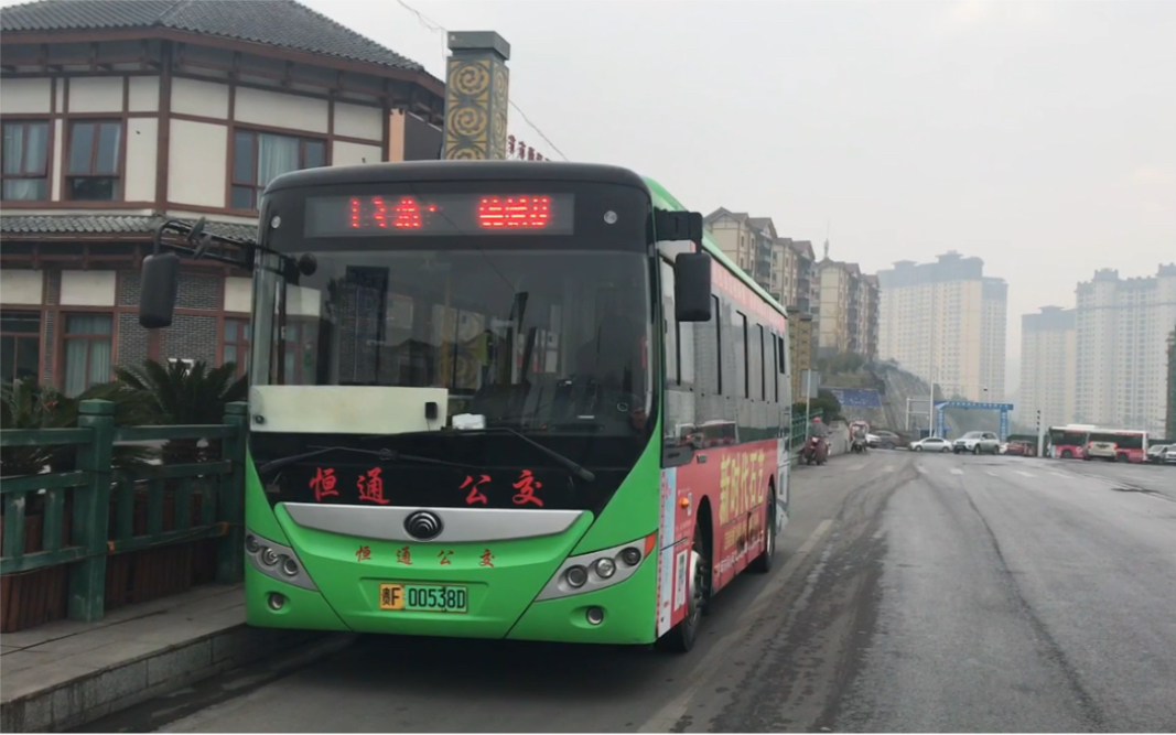 【贵州毕节 1342】黔西市13路pov 锦绣花都》》花鸟市场(区间)