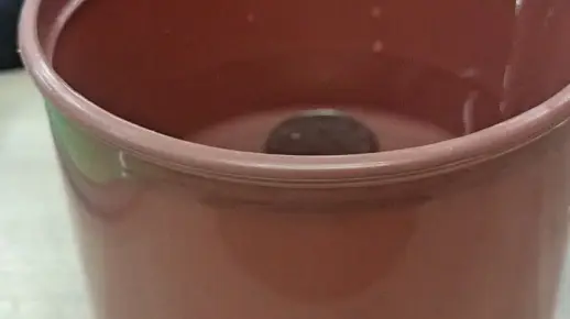 最新视频来袭，快来看看吧！