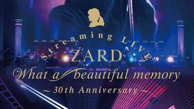 ZARD】DVD What a beautiful memory ~25th Anniversary~【CNZARD汉化