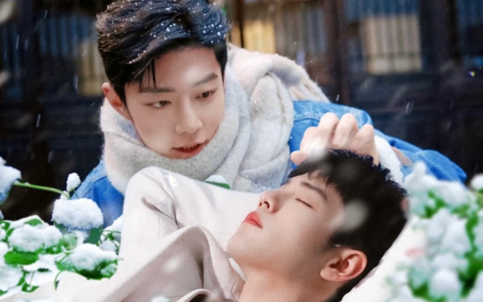 【肖战水仙】20年真的是靠水仙续命谁懂,当时磕战肖磕得可认真了