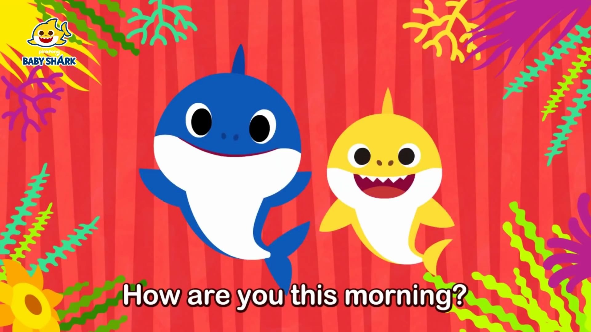 where is daddy shark- - sing along with baby shark - baby shark